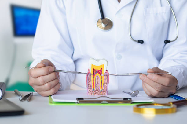 Best Tooth Infection Emergency Dentist  in St John, KS